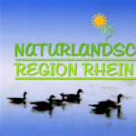 Region Rhein Sieg auf Gratispostkarten